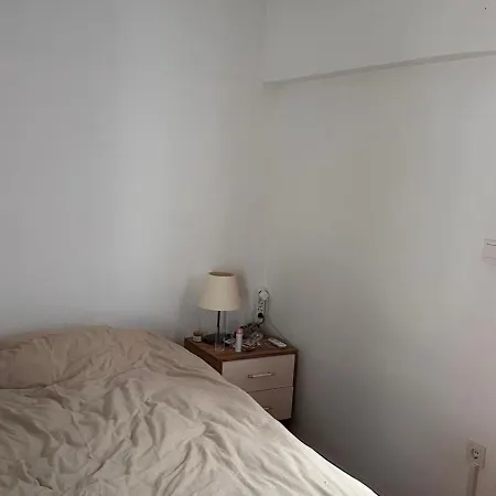 Duplex For 4 People In Center Apartment *