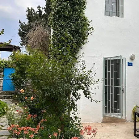 Duplex For 4 People In Center